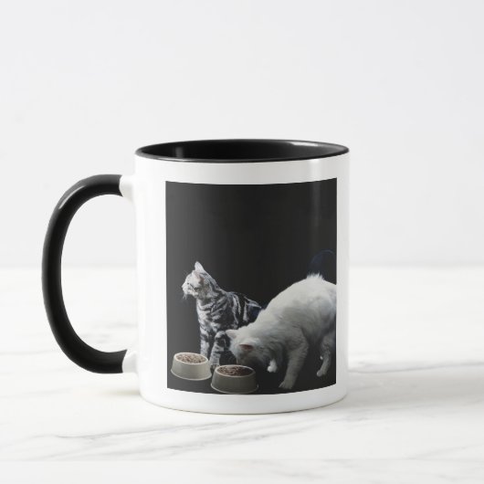 Katzen mit Schüssel Nahrung Tasse (Links)