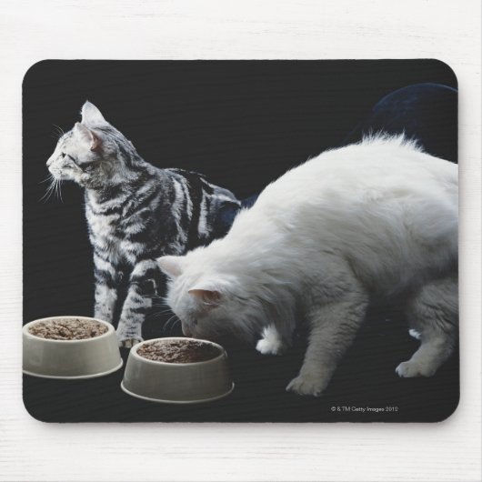 Katzen mit Schüssel zum Essen Mousepad (Vorne)