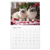 Katzen mit Spaß Kalender (Feb 2027)