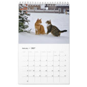 Katzen mit Spaß Kalender (Jan 2027)