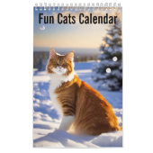 Katzen mit Spaß Kalender (Titelbild)