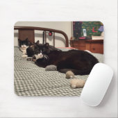 Katzen Mousepad (Mit Mouse)