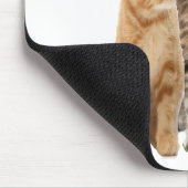 Katzen Mousepad (Ecke)