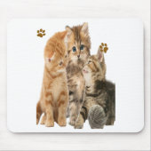 Katzen Mousepad (Vorne)