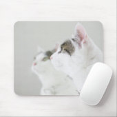 Katzen Mousepad (Mit Mouse)