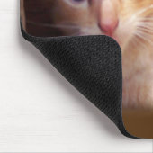 Katzen Mousepad (Ecke)
