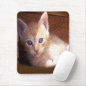 Katzen Mousepad (Mit Mouse)