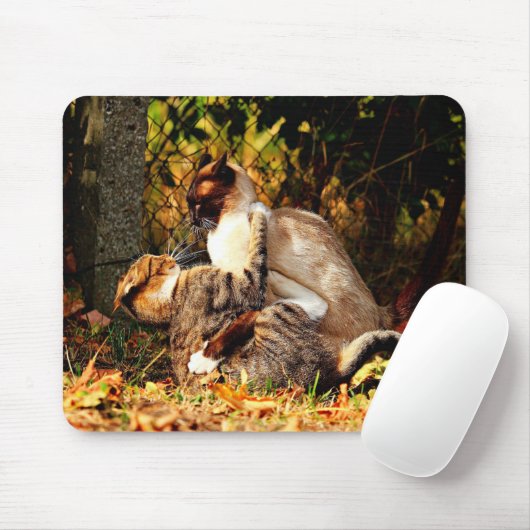 Katzen Mousepad (Mit Mouse)