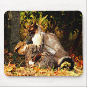 Katzen Mousepad (Vorne)