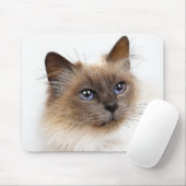 KATZEN MOUSEPAD (Mit Mouse)