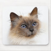 KATZEN MOUSEPAD (Vorne)