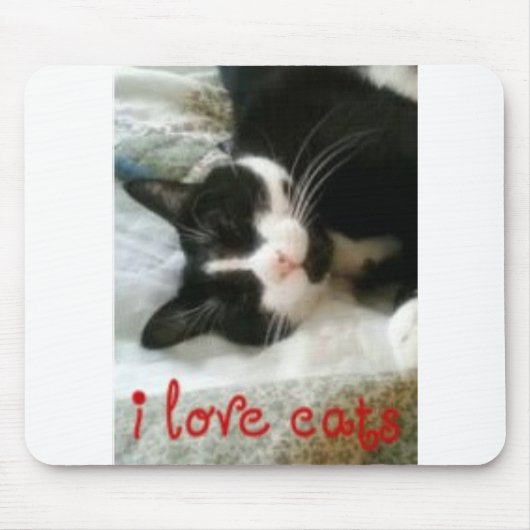 Katzen Mousepad der Liebe I (Vorne)