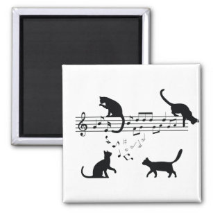 Katzen Musiknoten spielen Magnet