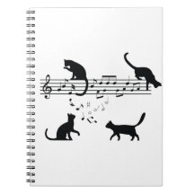 Katzen Musiknoten spielen