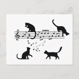 Katzen Musiknoten spielen Postkarte