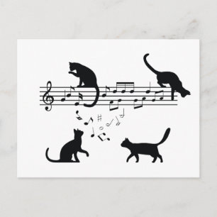 Katzen Musiknoten spielen Postkarte