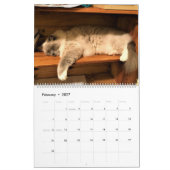 Katzen-Nickerchen 2021-Kalender Kalender (Feb 2027)