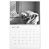 Katzen-Nickerchen 2021-Kalender Kalender (Mär 2027)