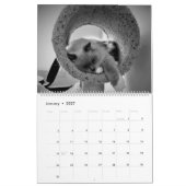 Katzen-Nickerchen 2021-Kalender Kalender (Jan 2027)