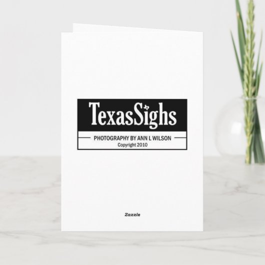 "Katzen-Nickerchen " Karte (Rückseite)