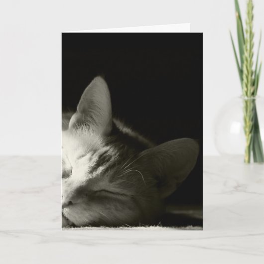 "Katzen-Nickerchen " Karte (Vorderseite)