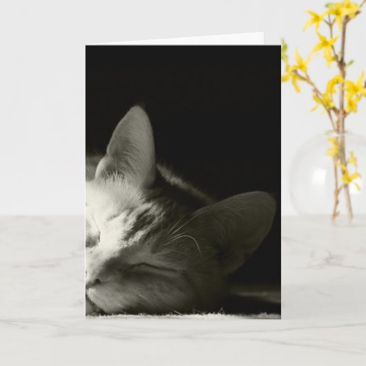 "Katzen-Nickerchen " Karte (Gelbe Blume)