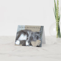 Katzen-Nickerchen-Karte