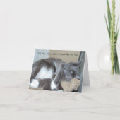 Katzen-Nickerchen-Karte Karte (Vorderseite)