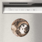 Katzen-Nickerchen Magnet (In Situ (Geschirrspüler))