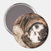 Katzen-Nickerchen Magnet (Vorderseite/Rückseite)