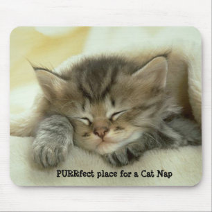 Katzen-Nickerchen Mousepad