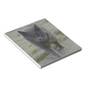 Katzen Notizblock (angewinkelt)