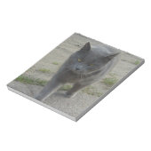 Katzen Notizblock (Rotiert)