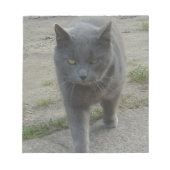 Katzen Notizblock (Vorderseite)