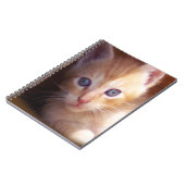 Katzen Notizblock (Linke Seite)