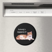 Katzen Orange und Weiß Magnet (In Situ (Geschirrspüler))