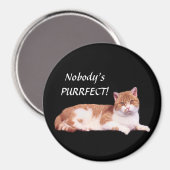 Katzen Orange und Weiß Magnet (Vorderseite/Rückseite)