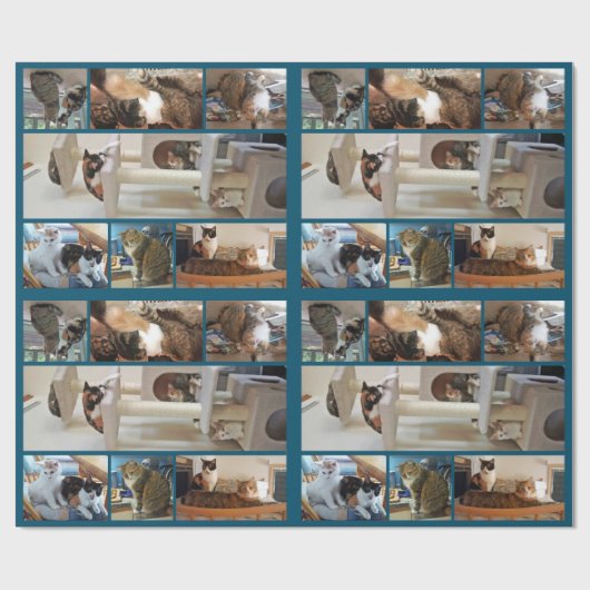 Katzen-Packpapier Geschenkpapier (Flach)