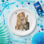 Katzen Pappteller (Party)