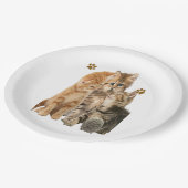 Katzen Pappteller (Schrägansicht)