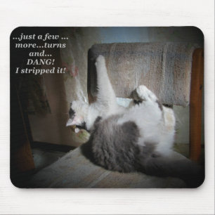Katzen Polsterreparatur Meme Mousepad