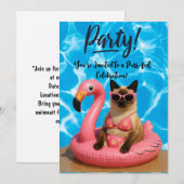 Katzen-Poolparty  Einladung (Vorne/Hinten)