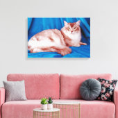 Katzen-Portrait 5 Leinwanddruck (Insitu (Wohnzimmer))