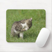 Katzen-Portrait Mousepad (Mit Mouse)