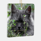 Katzen-Porträt des Sibirier-| Keramikornament (Rechts)