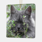 Katzen-Porträt des Sibirier-| Keramikornament (Links)