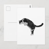 Katzen-Pose Freude Postkarte (Vorne/Hinten)