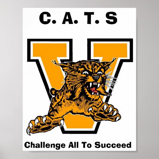 KATZEN POSTER (Vorne)