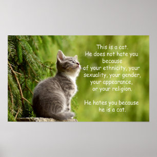Katzen Poster