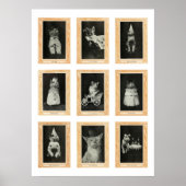 Katzen Poster (Vorne)